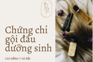 Chứng chỉ gội đầu dưỡng sinh có cần thiết?