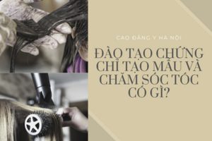 Đào tạo chứng chỉ tạo mẫu và chăm sóc tóc có gì?