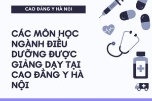 Tổng hợp một số môn học ngành Điều dưỡng được giảng dạy tại Cao đẳng Y Hà Nội