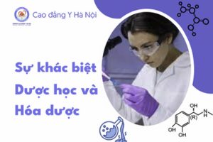 Sự khác biệt giữa Dược học và Hóa dược