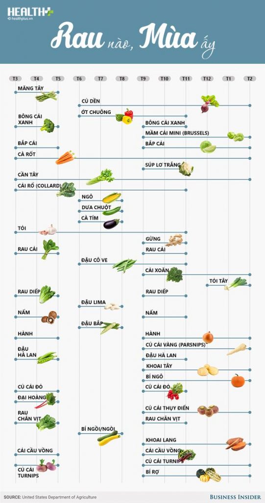phân chia một số loại rau theo mùa
